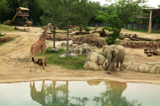 Dallas Zoo
